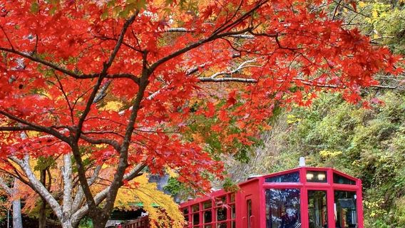 Nara