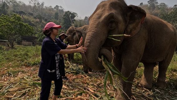 Chiang MaiTours