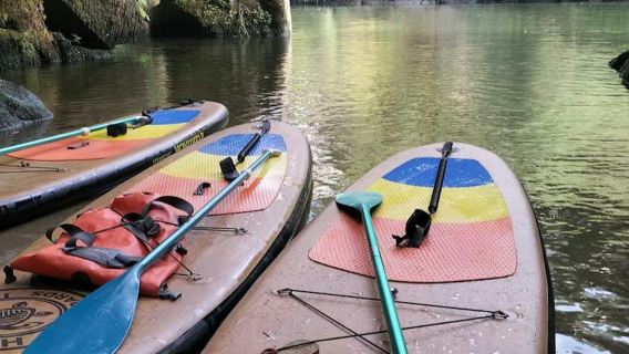 Excursión en paddle surf por el río Paiva desde Oporto con traslado