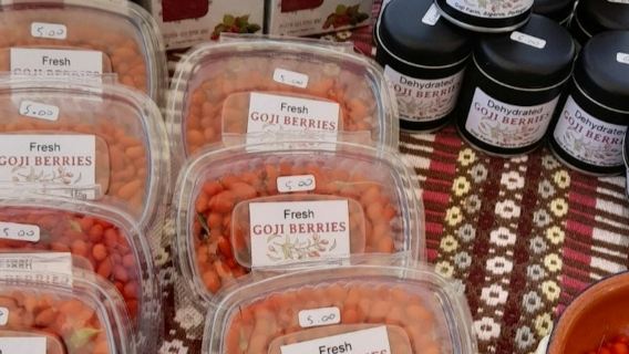 阿爾加維：日落吉普車之旅 + 飲品