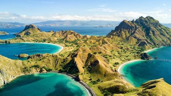 Komodo