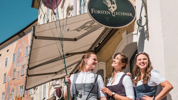 Vienna-Mondsee-Salzburg 1-day tour with Chinese-speaking guide service!