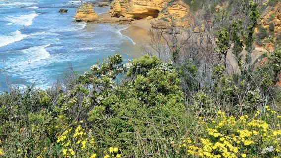 澳洲墨爾本分裂角燈塔+十二門徒岩一日遊