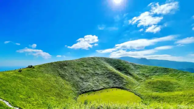 日本東京伊豆一日遊【純玩9人小團|贈觀海列車票|上門接送可選|中文司導|城崎海岸+門脅吊橋+觀海列車+大室山or仙人掌動物園】