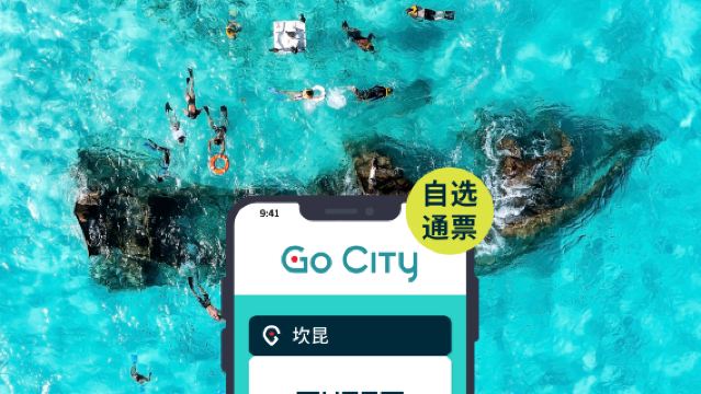 Go City Канкун: билеты по выбору [официальный оператор/более 10 популярных достопримечательностей/приключение с полётом на параплане в Канкуне/колесо обозрения в Канкуне]|Канкун Эксплорер Пасс