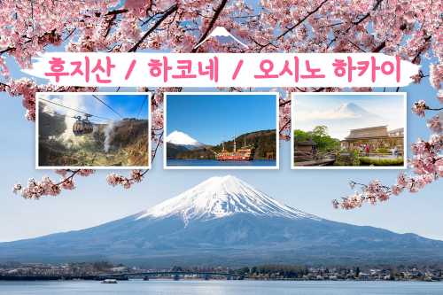 [한국어 가이드 • ★1명도 무조건 출발★] 후지산 + 하코네 + 오시노핫카이 일일 투어 (하코네 로프웨이 / 오와쿠타니 / 하코네 해적선 / 하코네 신사)