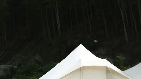 Huzhou Anji one-day tour: Xiaohangkeng + Jiangnan Tianchi + Canglong Hundred Waterfalls [private charter × Multilingual]