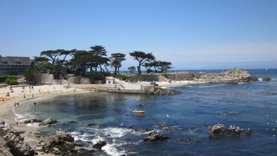 Monterey and Carmel full-day tour from San Francisco
