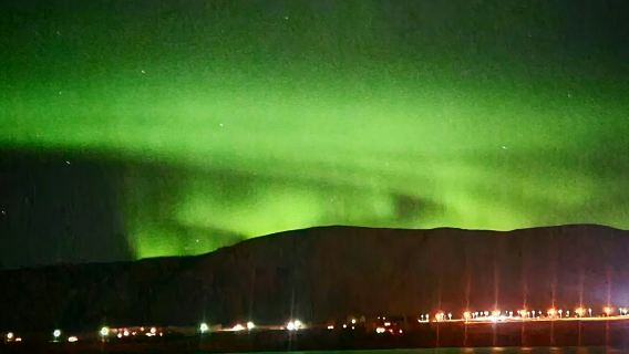 ReykjavikTours