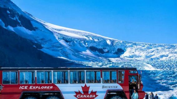 1-day tour to Columbia Icefield + Peyto Lake + Bow Lake round-trip from Calgary, Canada