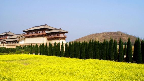 Xi'an: Tomb Exploration and Archaeological Tour - Famen Temple - Qianling Mausoleum - Hanyang Mausoleum|Chinese and English guide|private charter|