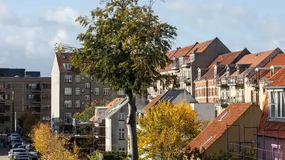 Aarhus Private Custom Walking Tour With A Guide 