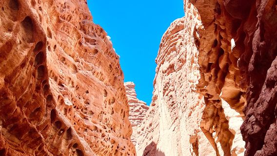 SunanTours