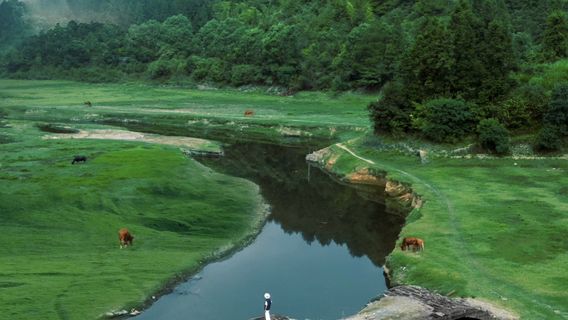 婺源日遊