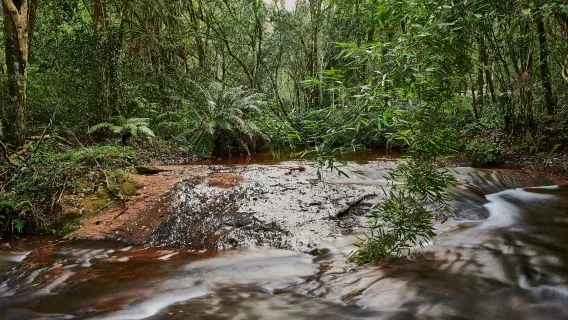 Tagesausflug zu den Kanching-Wasserfällen mit Batu-Höhlen und Ramayana-Höhlen-Erkundung