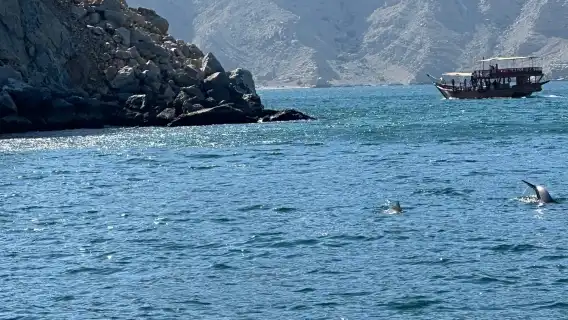 杜拜一日遊|阿曼追海豚|浮潛|酒店接送|英文司機