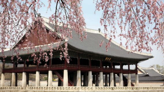 Lumières urbaines jour et nuit | Palais Gyeongbokgung & Village de Bukchon & Marché de Gwangjang & Parc Naksan