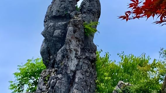 Chongqing Round-trip: Guang'an Deng Xiaoping's Hometown + Huaying Mountain one-day tour(Hometown of Great Men/Revolutionary Stories)