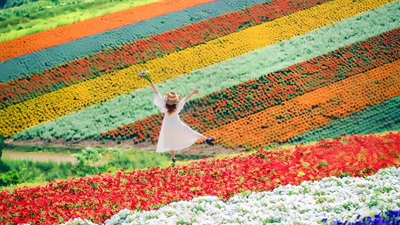 Excursion d'une journée sur la route en patchwork de Furano, l'étang bleu, la colline Shikisai, la terrasse forestière et la mer aux fleurs d'été