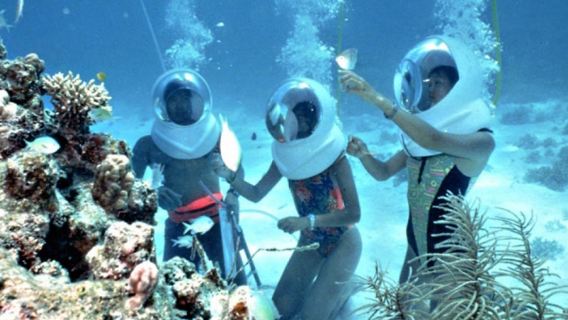 Excursion d'une journée à pied sous-marin sur l'île Cham | Hors-bord + Marche sous-marine + Déjeuner de fruits de mer + Départ de Danang/Hoi An
