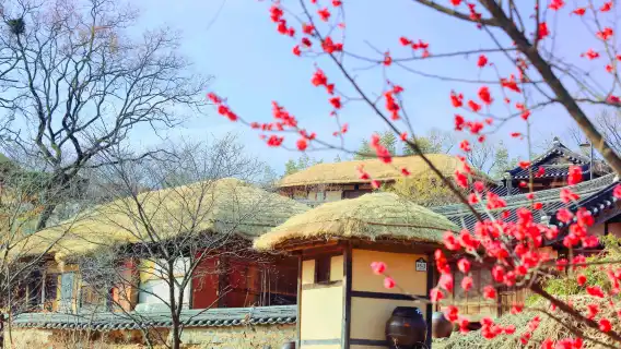 釜山往返-慶州世界文化遺產一日遊 遊覽永恆的歷史遺跡