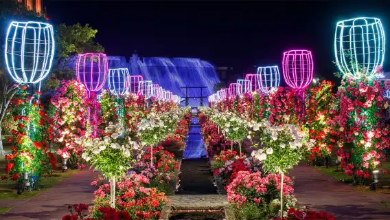 [Limited fireworks] 1-day tour to Huis Ten Bosch in Nagasaki, Kyushu, Japan with fireworks feast, including first admission ticket