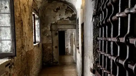 ทัวร์ชมพระราชวังดอจแบบไม่ต้องต่อแถว