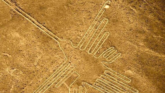 บินข้ามเกาะ Ballestas-Nazca-Nazca Lines เต็มวัน/PRIV