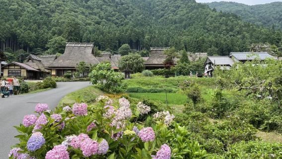 Da Osaka/Kyoto: tour di un giorno ad Amanohashidate con pranzo