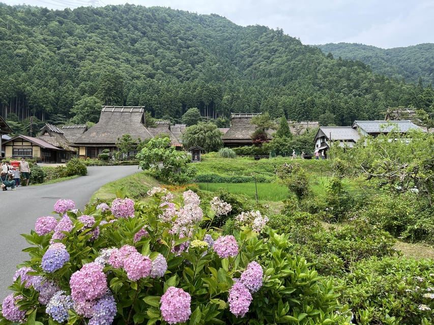 Tour di un giorno a Kyoto Amanohashidate da Osaka con pranzo