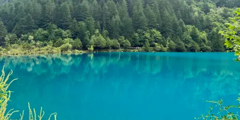 黃龍九寨火車站至九寨溝一日遊 | 共享巴士