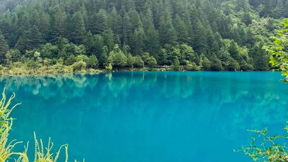 Navette partagée en bus de la gare de Huanglongjiuzhai à Jiuzhaigou|Le billet est disponible.