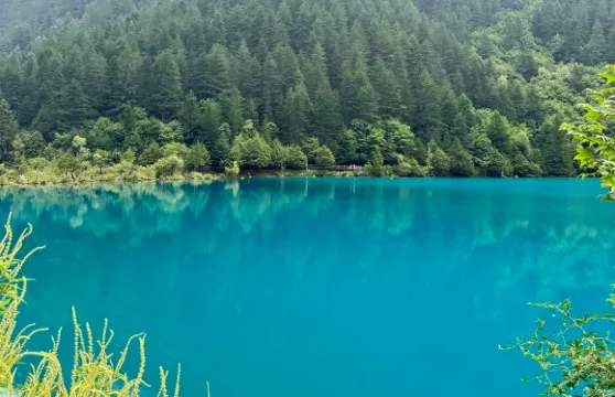 巴士共享接送服務(黃龍九寨火車站至九寨溝)