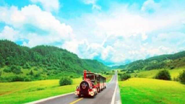 【VIP私家團+含門票+上門接送】武隆天生三橋+仙女山一日遊