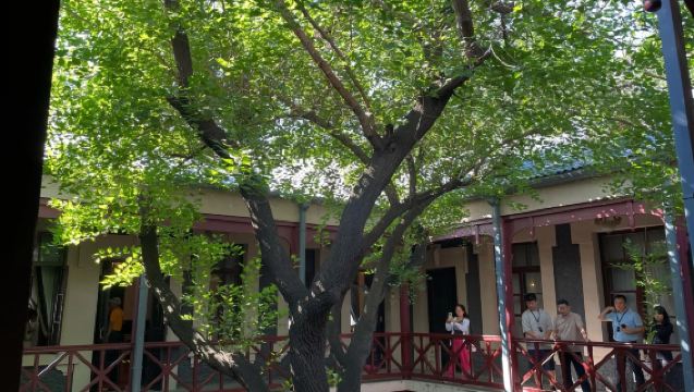 Changchun Palace Museum of The Manchurian Regime Guide [Join-in/Private - In-depth Guide - Includes Headsets] Live Guide