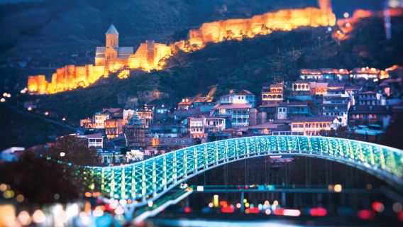 Tour di un giorno a Tbilisi: Cattedrale della Santissima Trinità + Fortezza di Narikala + Passeggiata al Lago delle Tartarughe