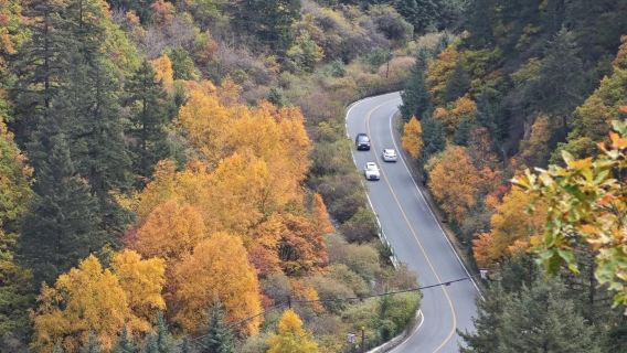 【包車遊】興隆山一日遊