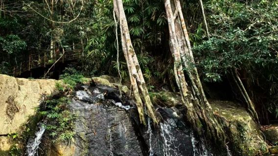 三亞呀諾達熱帶雨林一日遊【含門票、上下遊覽車】