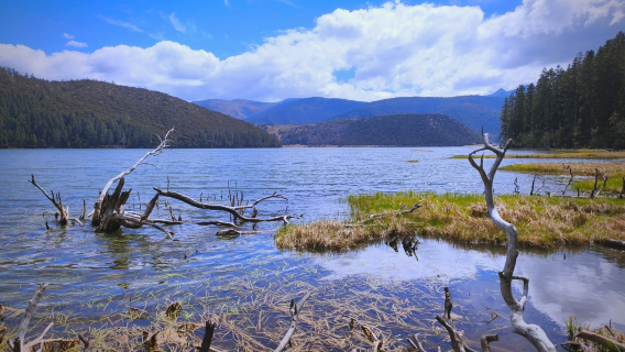 香格里拉來回普達措國家公園+噶丹松贊林寺+獨克宗包車1日遊