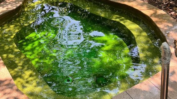 南京市區包車來回｜和縣香泉溫泉+霸王祠一日包車遊（多車型可選）