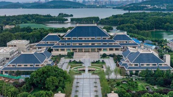 【武漢精華包車路線】講解+門票+黃鶴樓+長江大橋+省博+東湖生態旅遊風景區