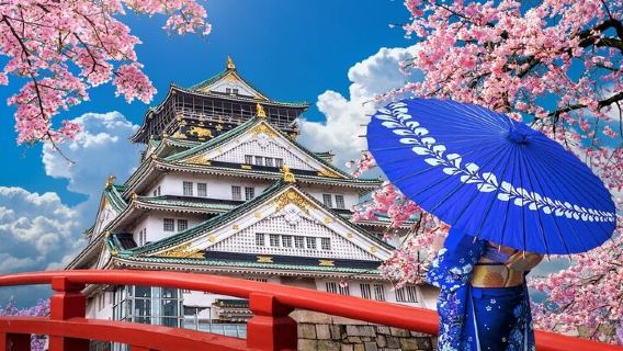 Visite à pied d'Osaka : incontournables et trésors cachés, avec un guide local