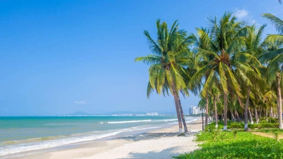 Экскурсия с индивидуальным трансфером в тропический лес Учжишань, Хайнань, Китай