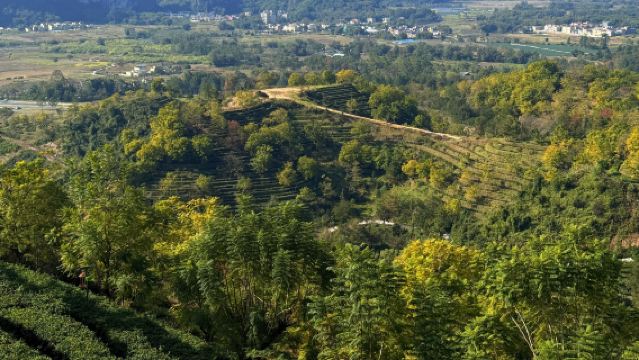 Lawatan sehari pakej berkumpulan Qingyuan Koridor Puncak Yingxi + Syurga Gua + Pekan Puncak/Perkhidmatan tersuai
