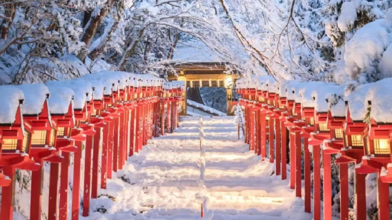 Osaka to Kyoto day trip [Premium all-inclusive tour of Kifune Shrine]|Sanzenin|Arashiyama area