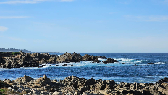 美國舊金山來回-半月灣-蒙特雷-卡梅爾【中文包車自由行】