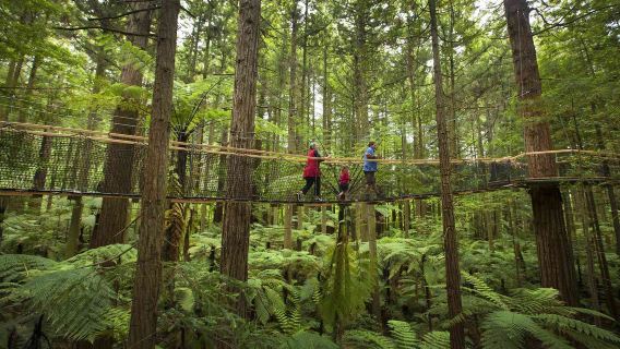 Passeio de um dia de ida e volta de Auckland para a Floresta de Sequóias e Vila Maori em Rotorua na Nova Zelândia | Grupo compartilhado