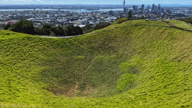 紐西蘭奧克蘭出發鳥島+伊甸山一日遊