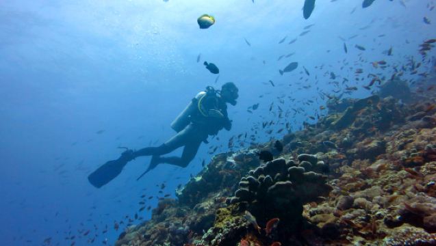 インドネシア・バリ島で体験する0.5時間のダイビング【タンジュンベノアで30分のスキューバダイビング体験+9地区ホテル往復送迎+専門認証インストラクター指導】