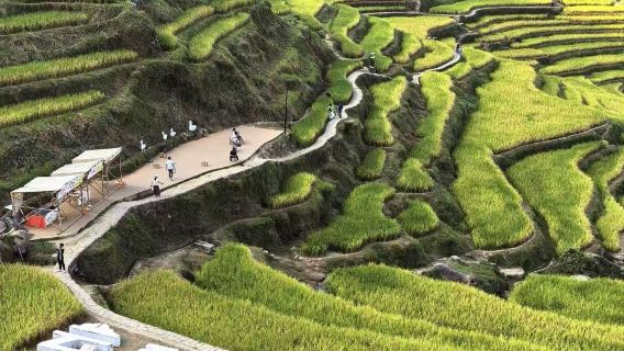 Lawatan sehari ke Teres Sawah Yunhe Lishui + Kampung Lukisan Guyan · Sewaan peribadi tanpa pertukaran / jadual boleh disesuaikan / tidak termasuk tiket masuk